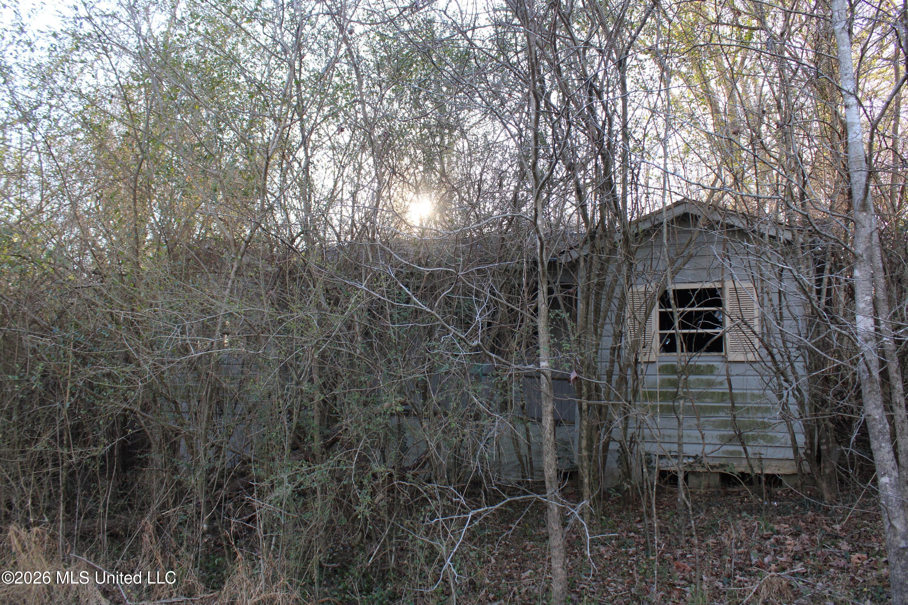 3641 Miller Road Olive Branch, MS 38654 - Photo 10 of 18 IMG_7420