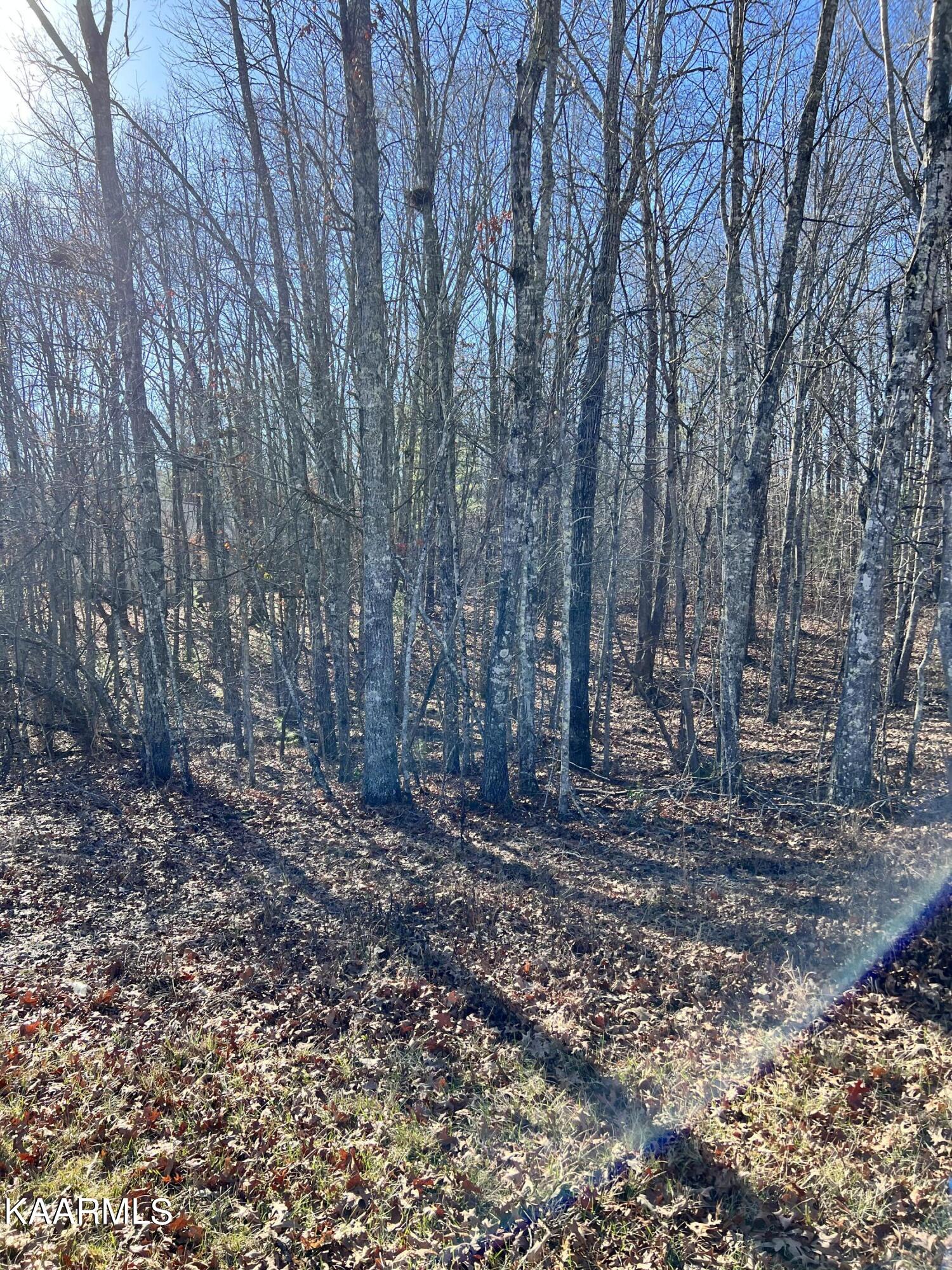 151 Cappshire Road Crossville, TN 38558 - Photo 1 of 1 151 Cappshire Road