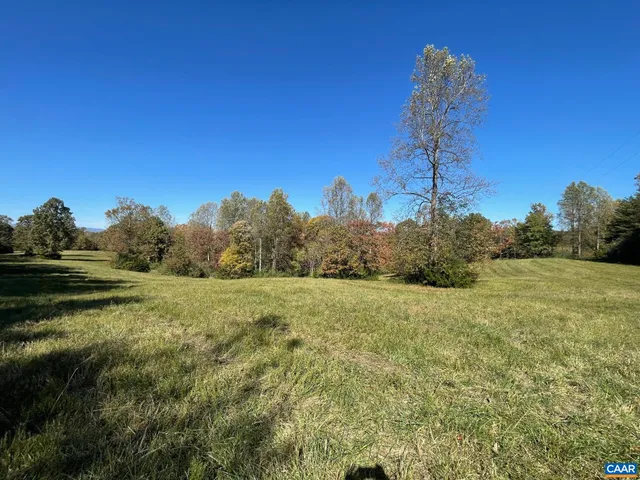 a view of a field with large trees