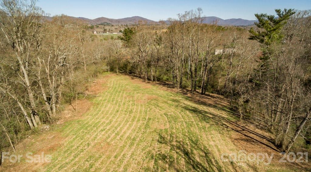 0 Burney Mountain Road Fletcher, NC 28732 - Photo 12 of 17 Gallery Image 12