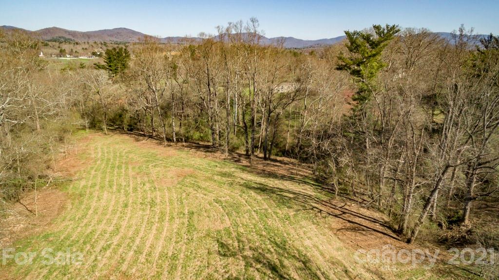 0 Burney Mountain Road Fletcher, NC 28732 - Photo 10 of 17 Gallery Image 10