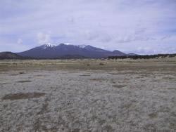 9298 Slayton Ranch Road Flagstaff, AZ 86004 - Photo 2 of 3 slayton mtn