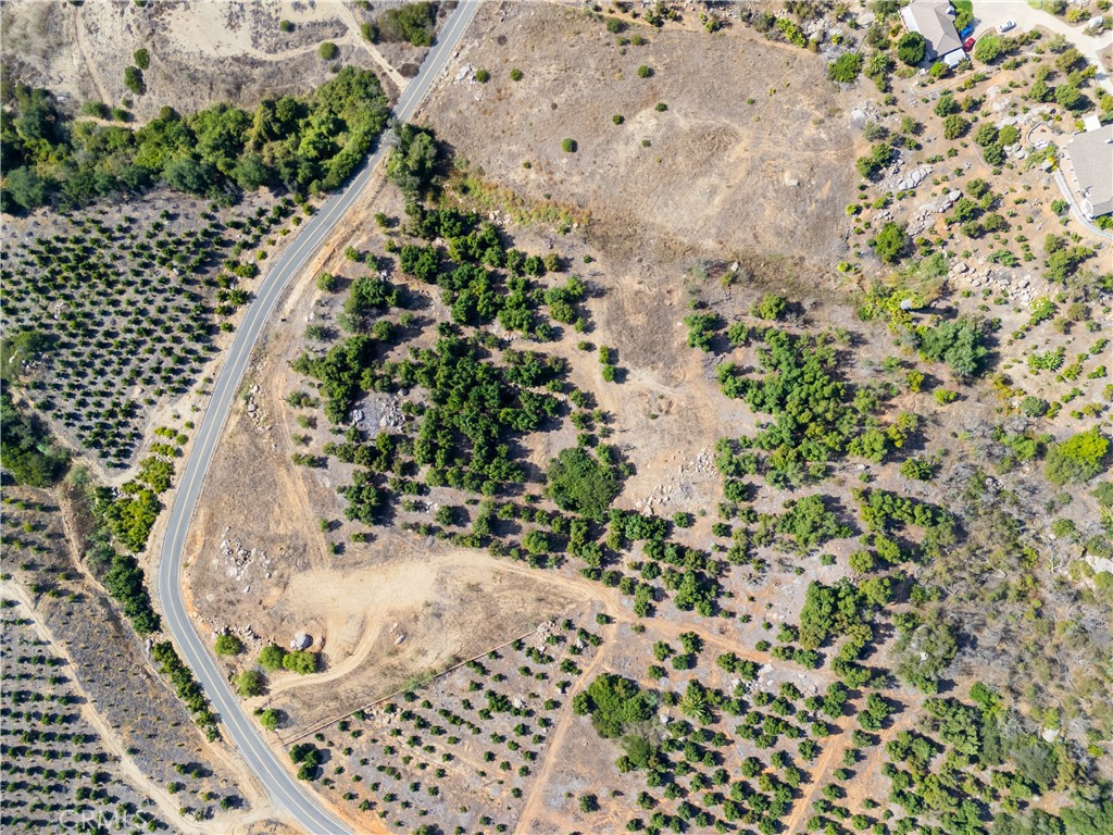23476 La Vella Road Temecula, CA 92590 - Photo 21 of 29 a view of a garden with a pathway