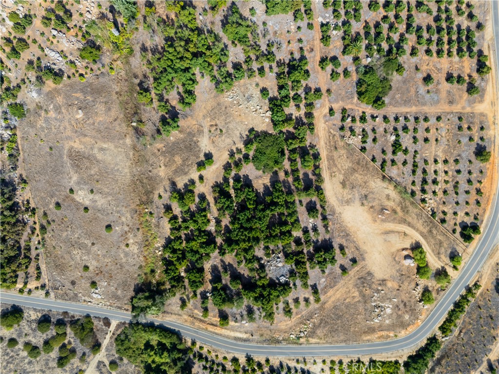 23476 La Vella Road Temecula, CA 92590 - Photo 9 of 29 a view of a plant in a garden
