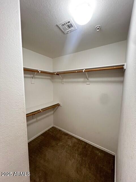 16825 North 14th Street, Unit 49 Phoenix, AZ 85022 - Photo 10 of 21 a close view of closet
