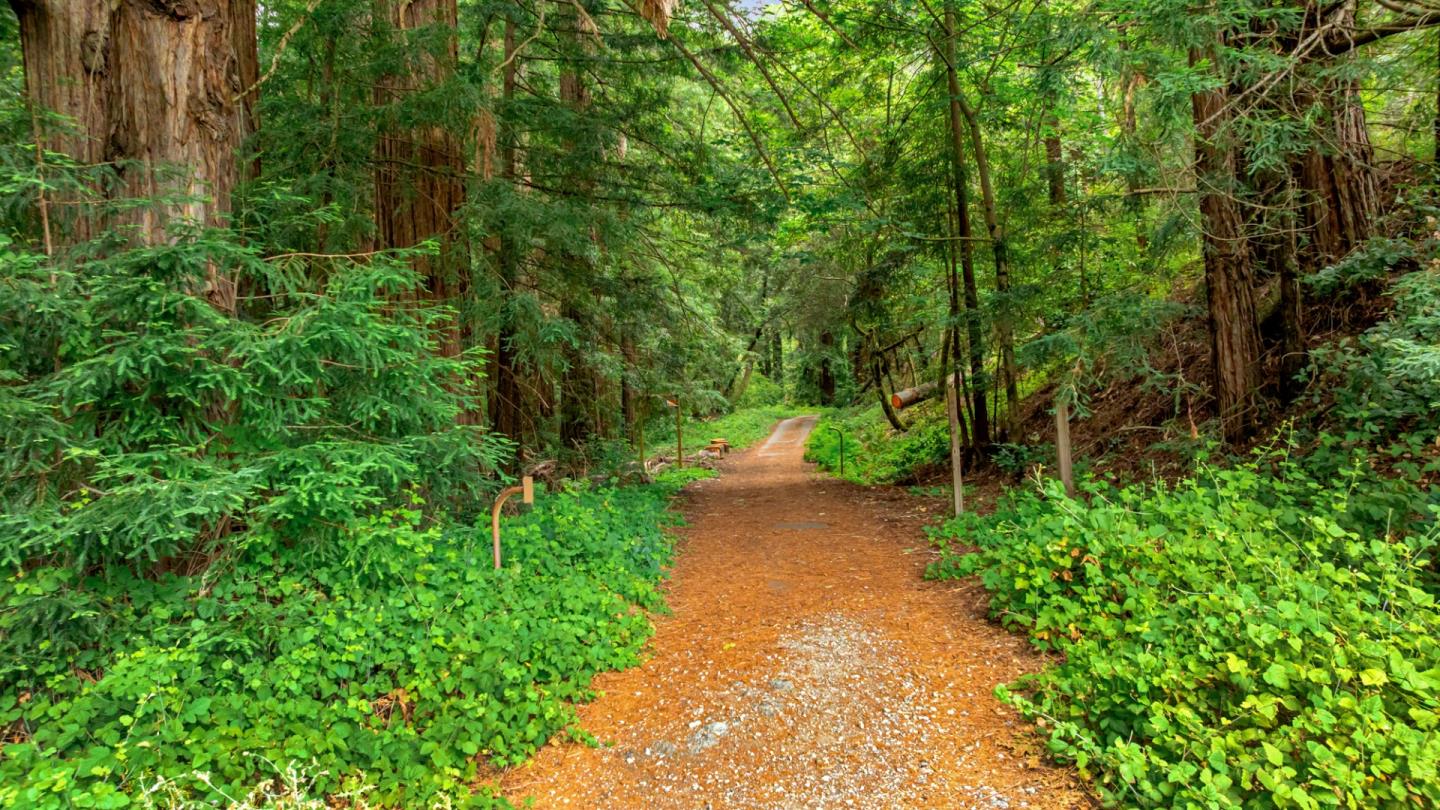 27 Willis Road Scotts Valley, CA 95066 - Photo 8 of 18