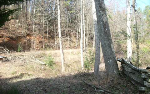2.1 A Edmondson Road Ellijay, GA 30536 - Photo 1 of 1 Main View