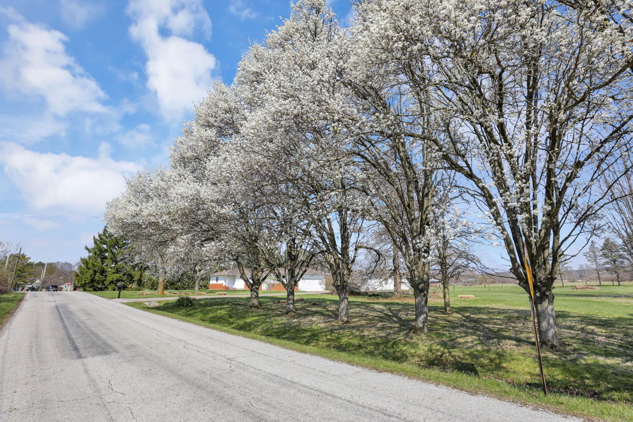 8200 Haenszel Road Grove City, OH 43123 - Photo 5 of 40 Property Line Spring Blooms