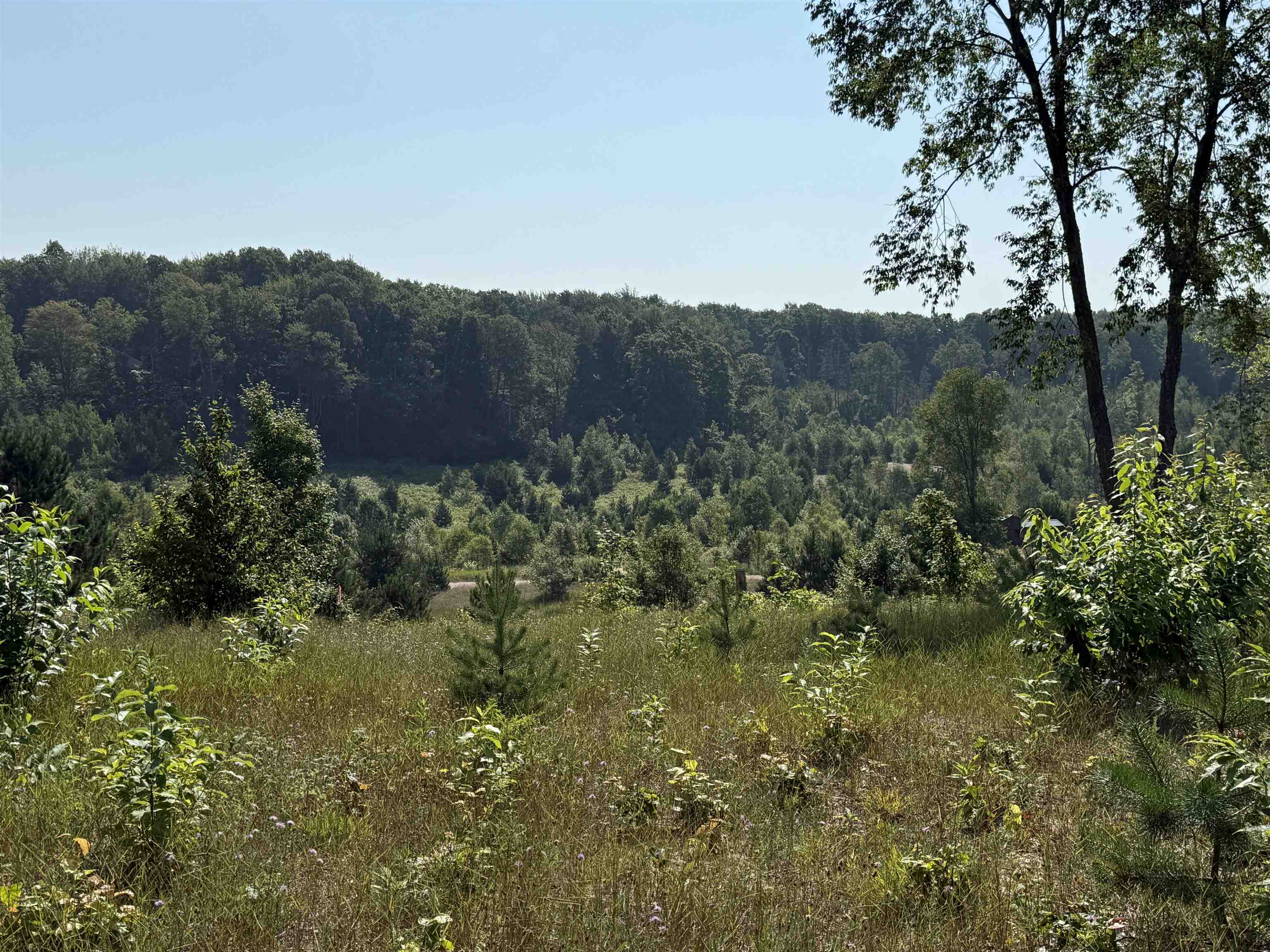 3 East Kasson Road, Unit LOT: A3 Maple City, MI 49664 - Photo 3 of 12