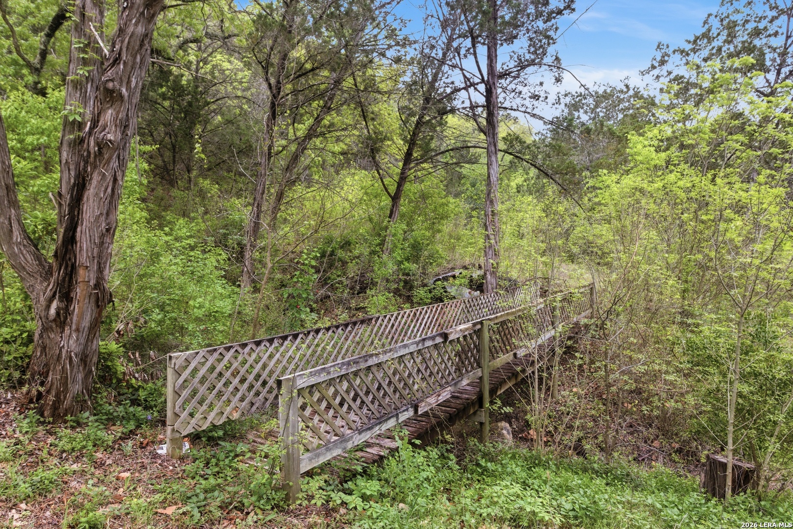 2115 Mesa Verde Road Medina, TX 78055 - Photo 40 of 52