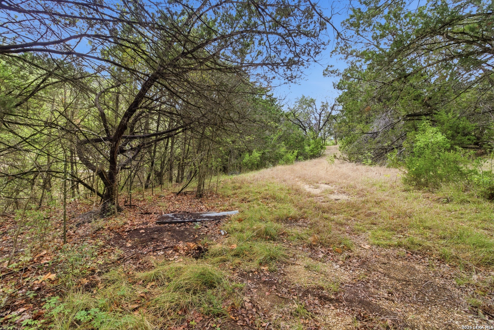 2115 Mesa Verde Road Medina, TX 78055 - Photo 41 of 52
