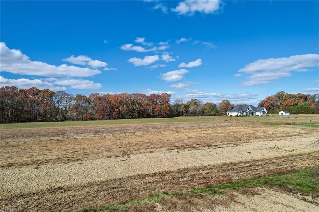 8045 Clinard Farms Road High Point, NC 27265 - Photo 14 of 21