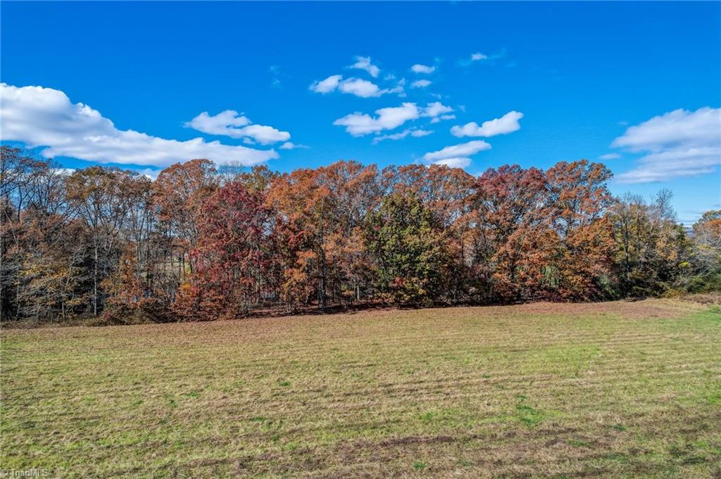 8045 Clinard Farms Road High Point, NC 27265 - Photo 15 of 21