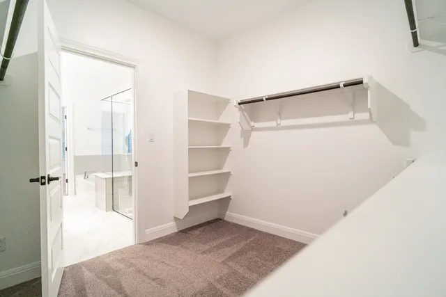 a bathroom with a sink and a shower