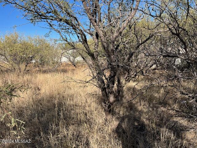 3150 West Rice Road Benson, AZ 85602 - Photo 6 of 7