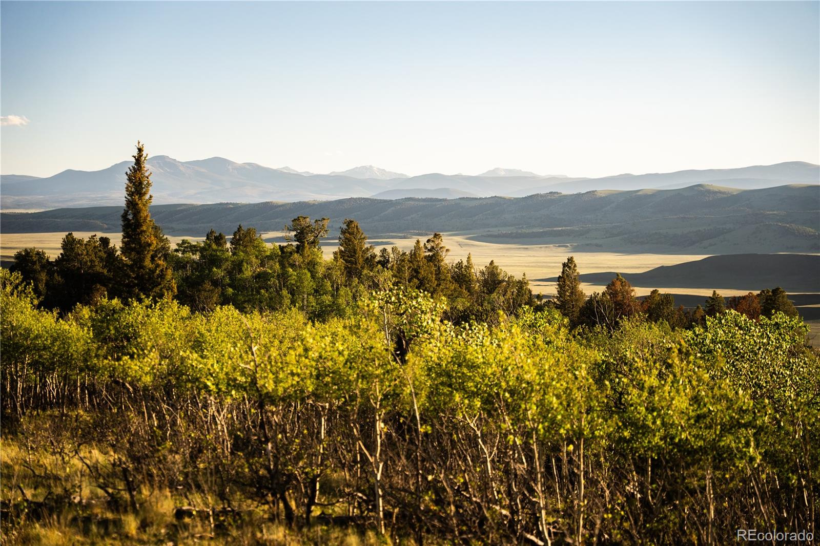 1280 Antler Ridge Road Como, CO 80432 - Photo 19 of 50