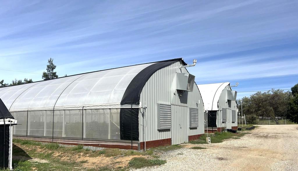 10350 West Lilac Road Valley Center, CA 92082 - Photo 6 of 10