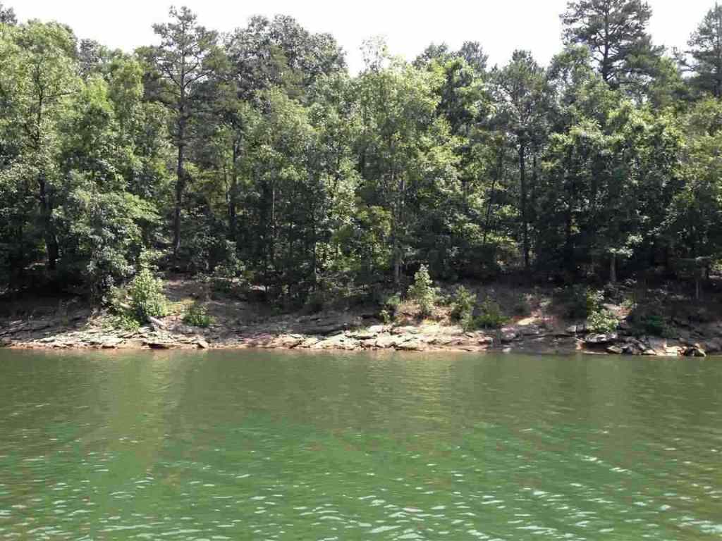 Lot 5 Dobbs Lake Road Hartwell, GA 30643 - Photo 1 of 12 Gallery Image 1