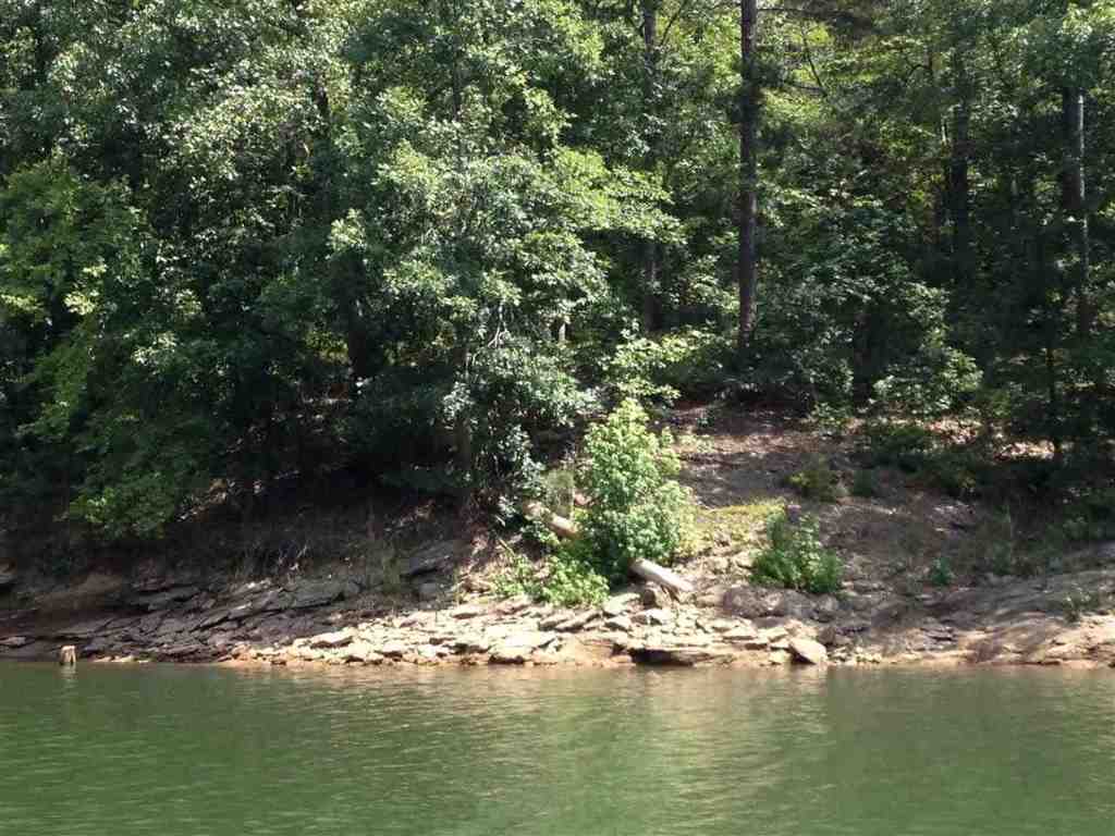 Lot 5 Dobbs Lake Road Hartwell, GA 30643 - Photo 3 of 12 Gallery Image 3