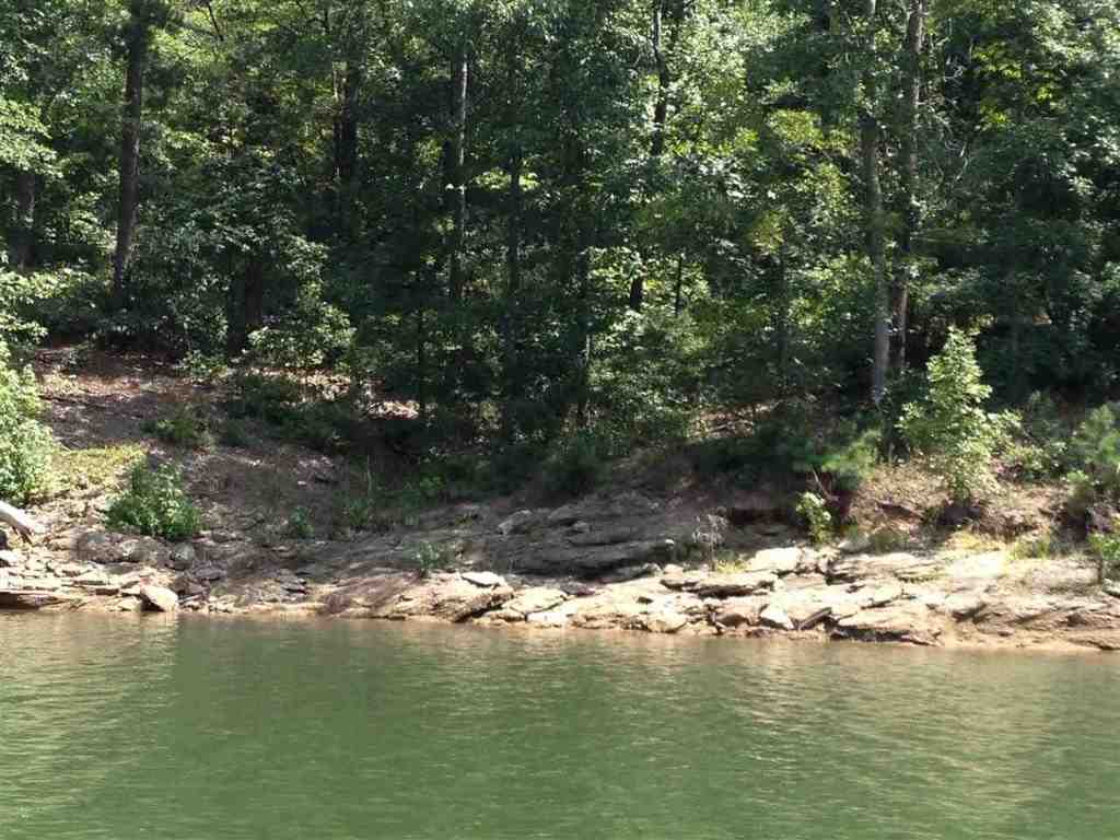 Lot 5 Dobbs Lake Road Hartwell, GA 30643 - Photo 4 of 12 Gallery Image 4