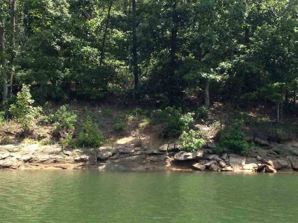 Lot 5 Dobbs Lake Road Hartwell, GA 30643 - Photo 5 of 12 Gallery Image 5