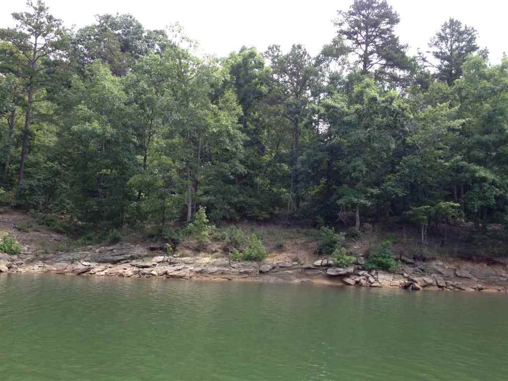 Lot 5 Dobbs Lake Road Hartwell, GA 30643 - Photo 6 of 12 Gallery Image 6