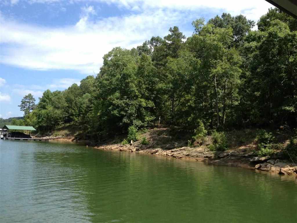 Lot 5 Dobbs Lake Road Hartwell, GA 30643 - Photo 7 of 12 Gallery Image 7