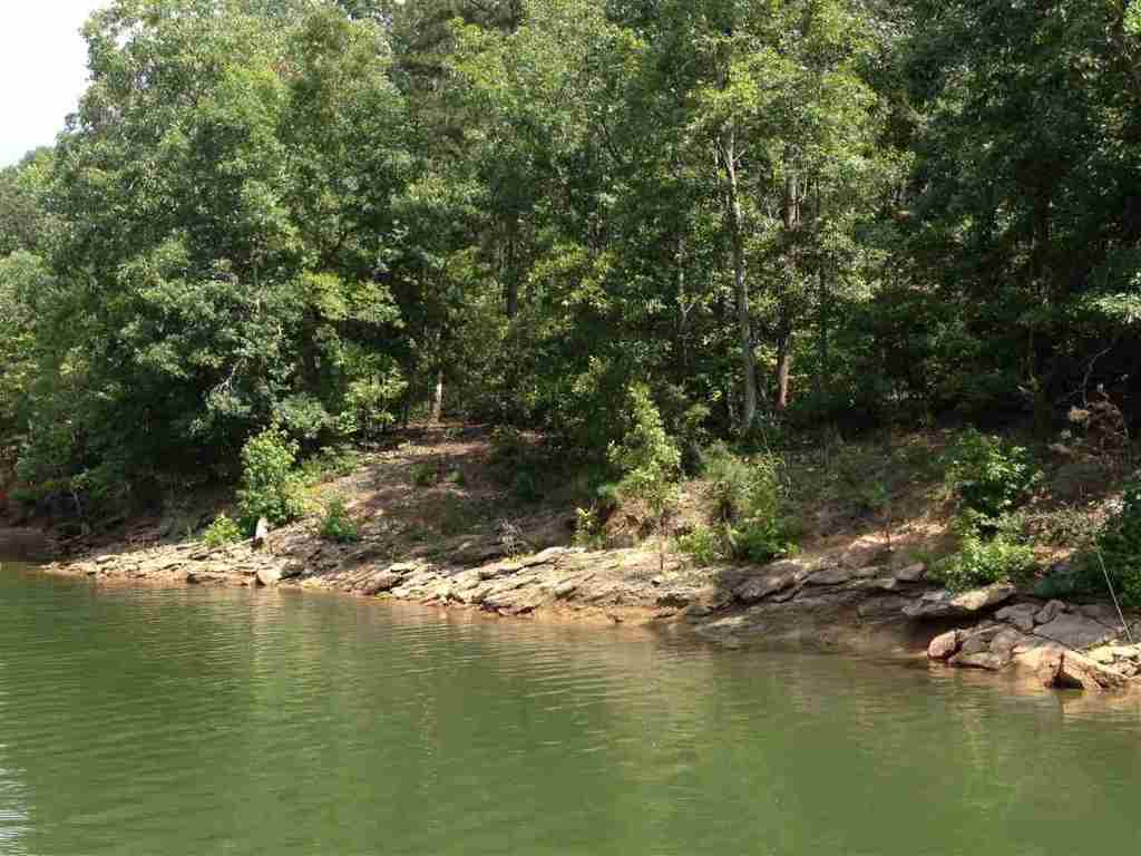 Lot 5 Dobbs Lake Road Hartwell, GA 30643 - Photo 8 of 12 Gallery Image 8