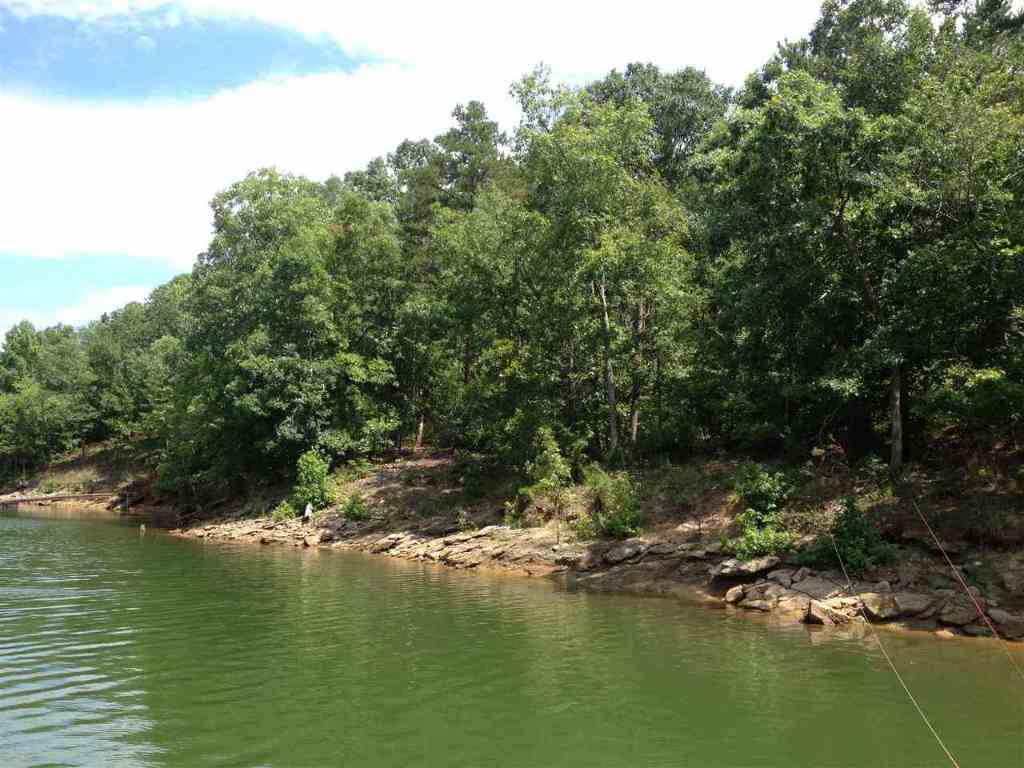Lot 5 Dobbs Lake Road Hartwell, GA 30643 - Photo 9 of 12 Gallery Image 9