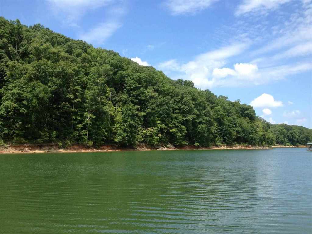 Lot 5 Dobbs Lake Road Hartwell, GA 30643 - Photo 10 of 12 Gallery Image 10