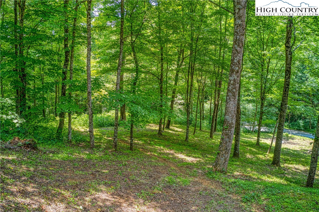 660 Frozenhead Ridge Road Sugar Grove, NC 28679 - Photo 9 of 46 Gallery Image 9