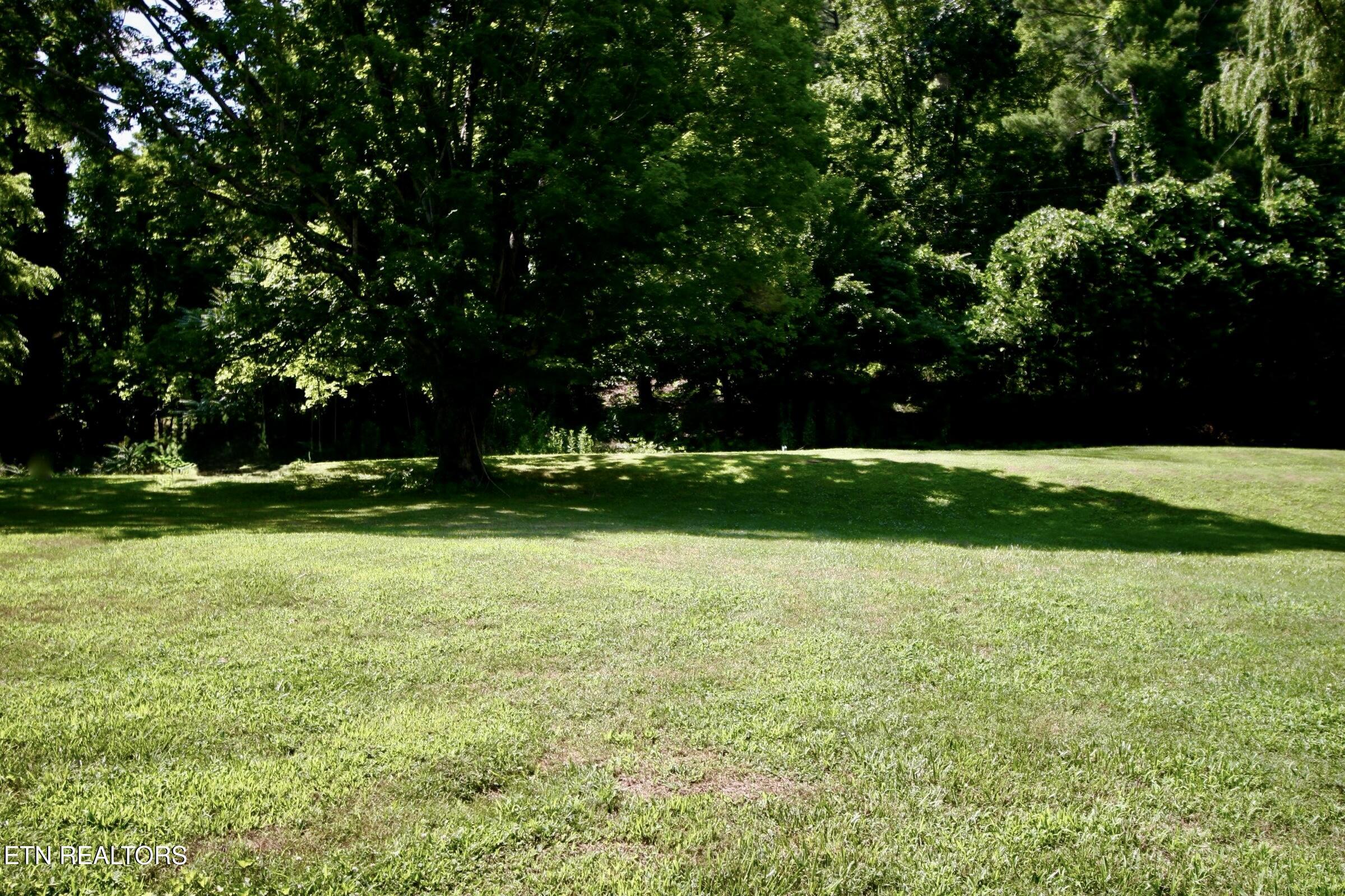 Rafter Road Tellico Plains, TN 37385 - Photo 4 of 8 Lot 6