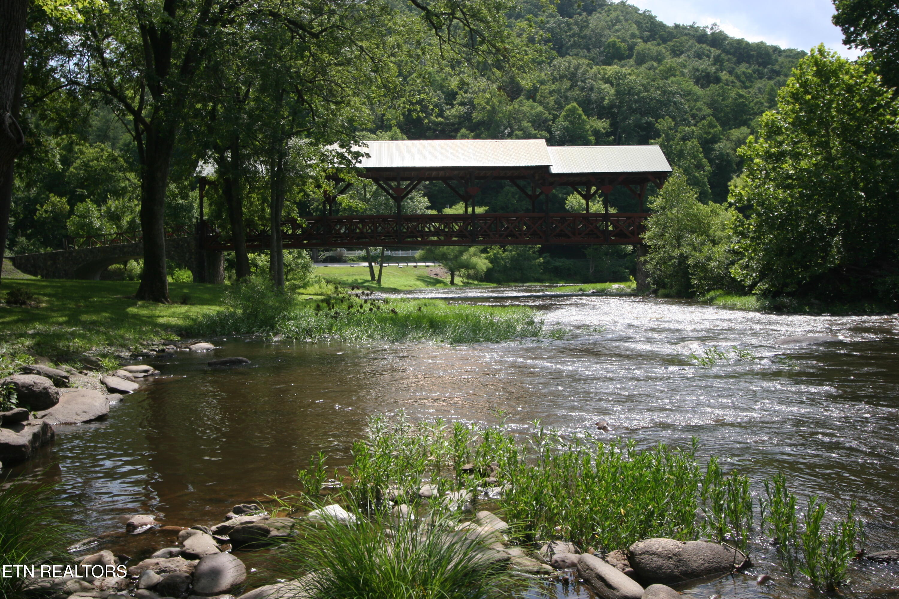 Rafter Road Tellico Plains, TN 37385 - Photo 7 of 8 View down stream
