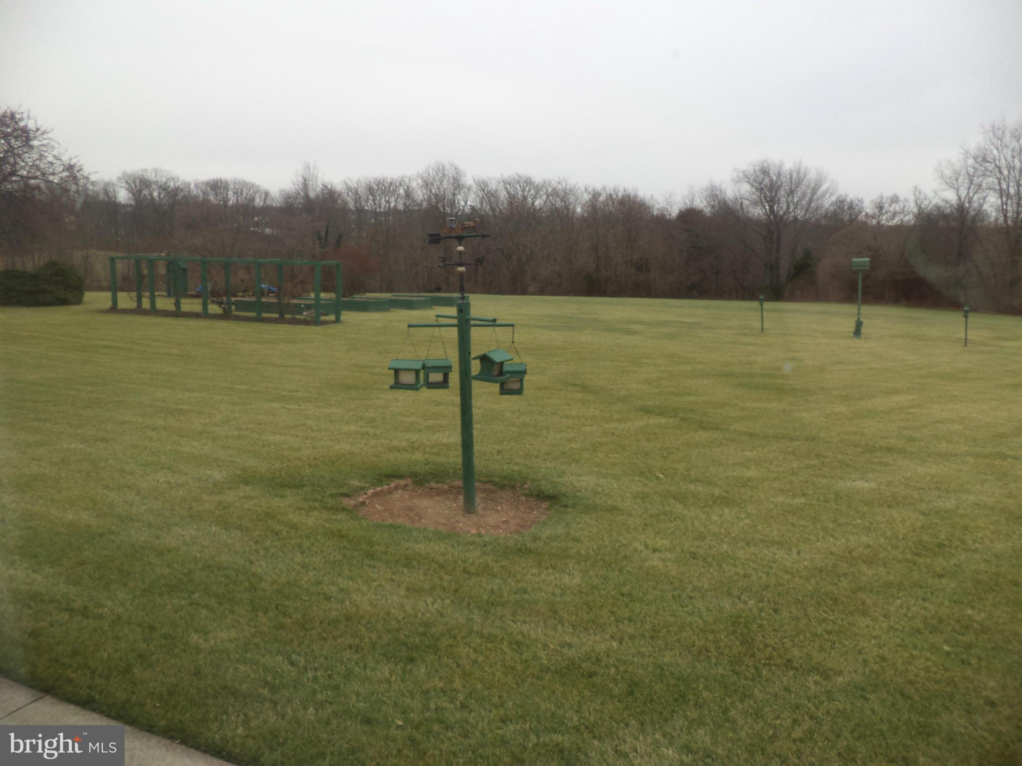 14729 Shirley Bohn Road Mount Airy, MD 21771 - Photo 20 of 21 a view of a field with a tree in the background