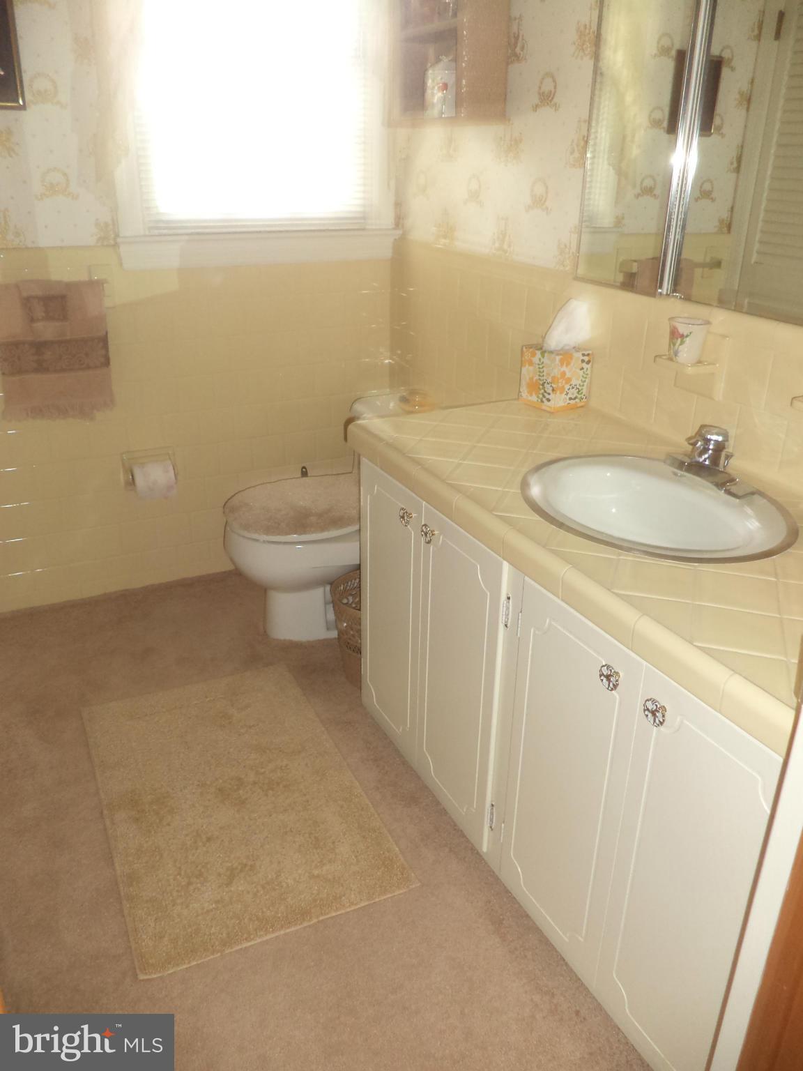 14729 Shirley Bohn Road Mount Airy, MD 21771 - Photo 5 of 21 a bathroom with a sink and a mirror