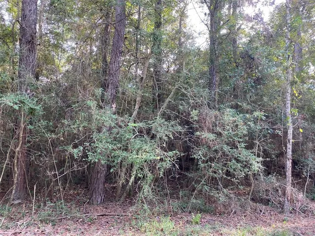 $16,000 | 3-4 Live Oak Drive, Trinity, TX 75862