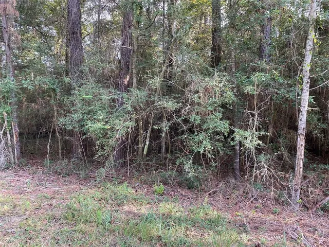 $16,000 | 3-4 Live Oak Drive, Trinity, TX 75862