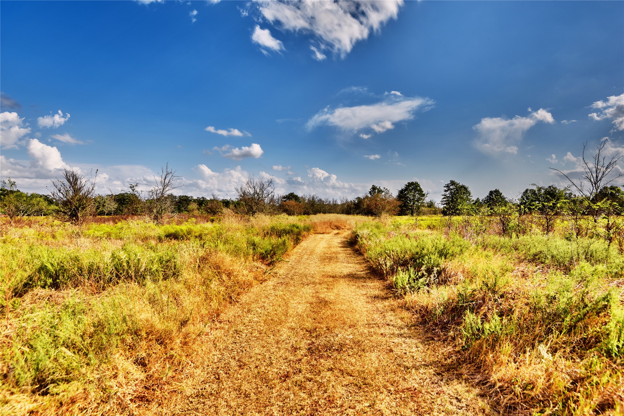 4233 Opersteny Road Bryan, TX 77808 - Photo 12 of 16