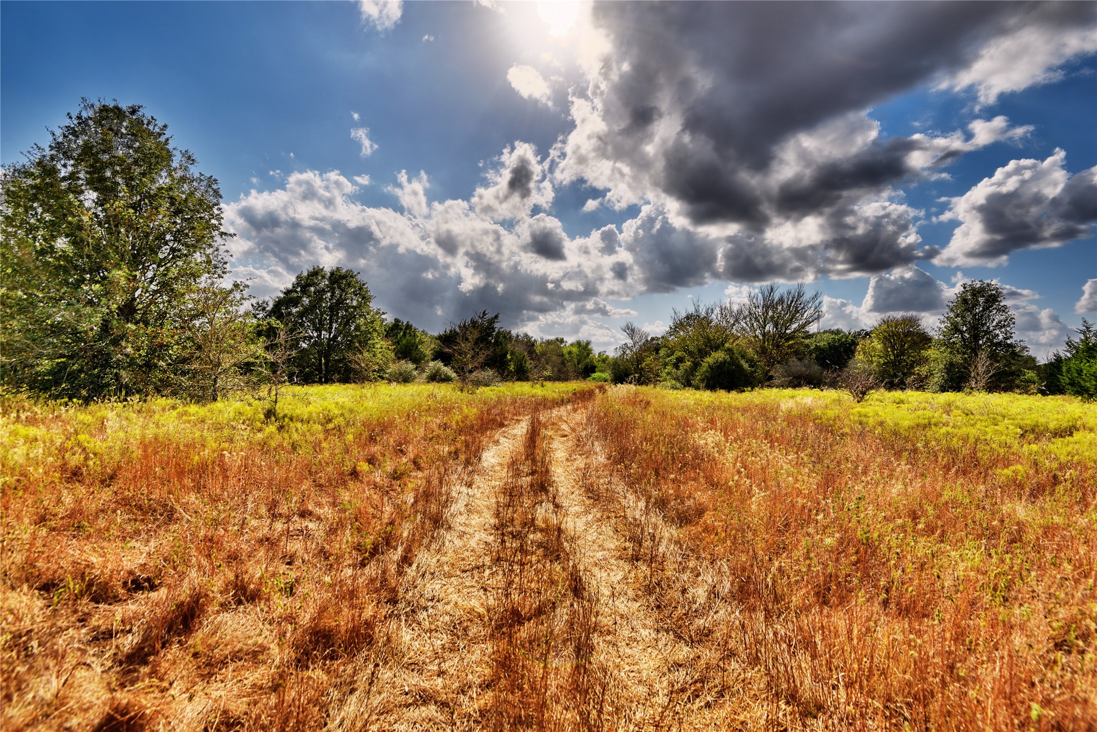 4233 Opersteny Road Bryan, TX 77808 - Photo 13 of 16