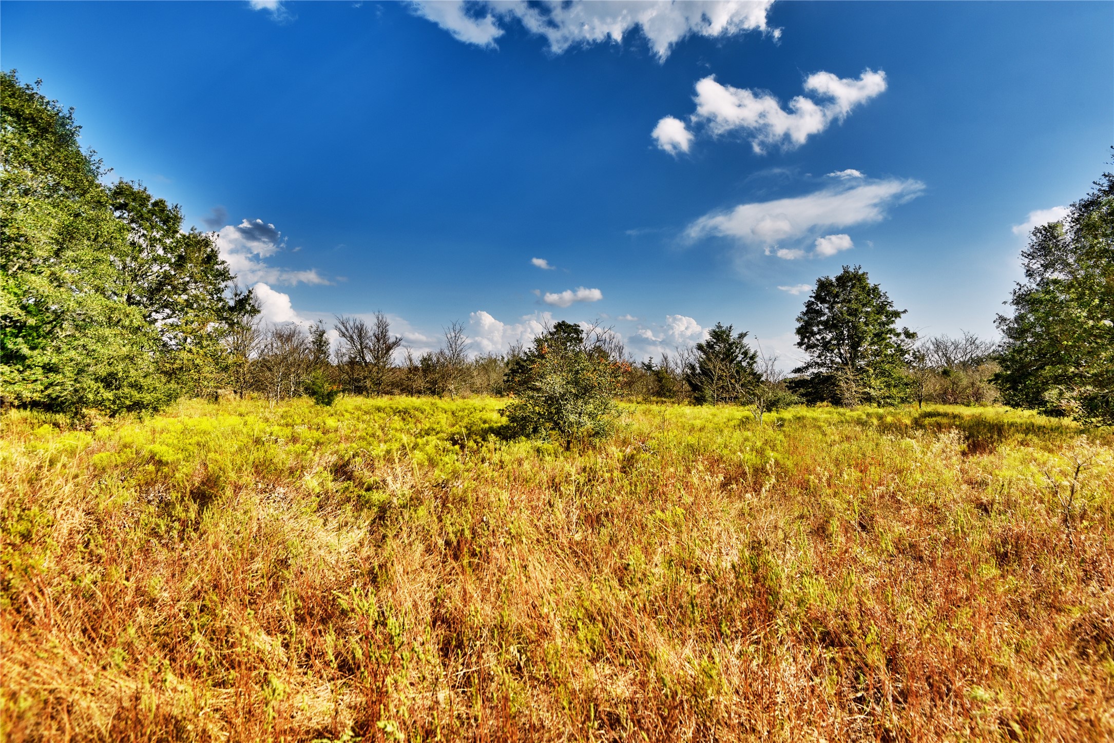 4233 Opersteny Road Bryan, TX 77808 - Photo 14 of 16