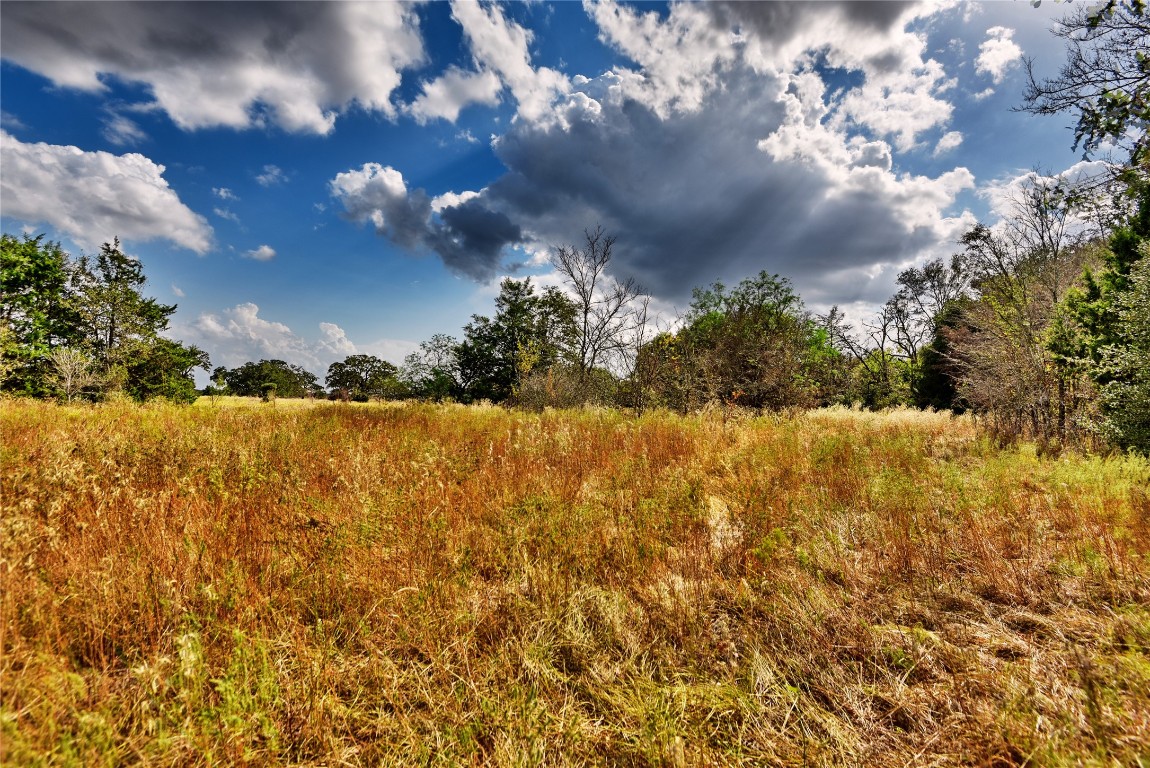 4233 Opersteny Road Bryan, TX 77808 - Photo 16 of 16