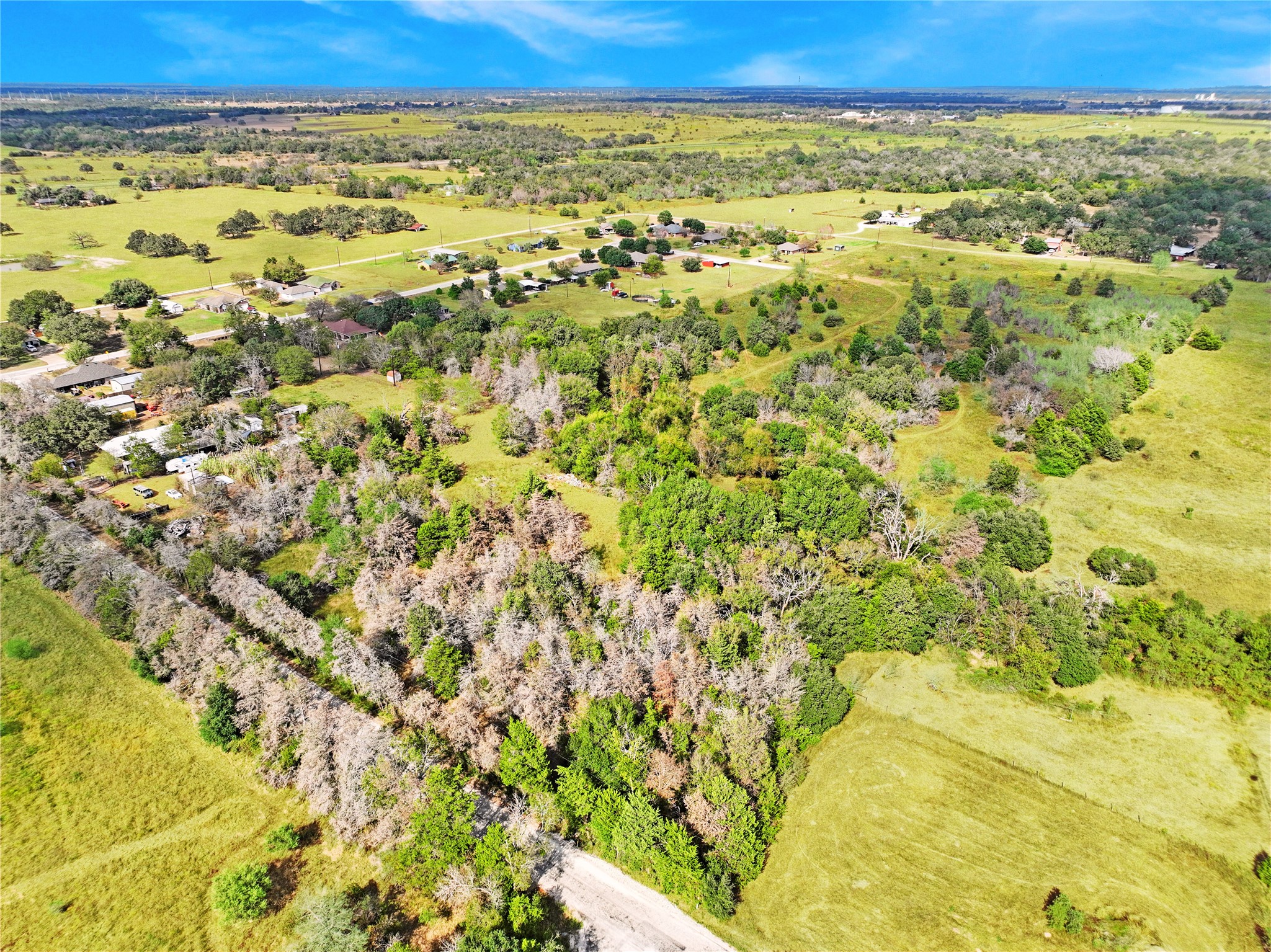 4233 Opersteny Road Bryan, TX 77808 - Photo 6 of 16