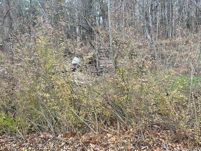 3 County Route Ancramdale, NY 12503 - Photo 2 of 3 a close up of a plant