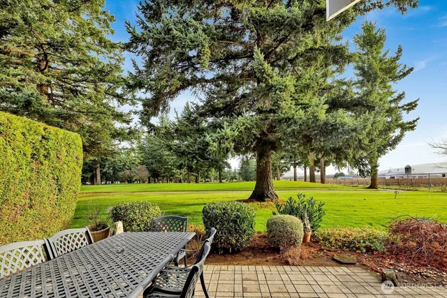 a view of a patio with a yard