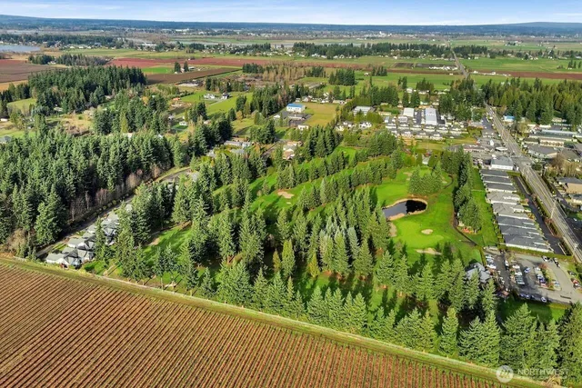 an aerial view of residential houses with outdoor space and trees
