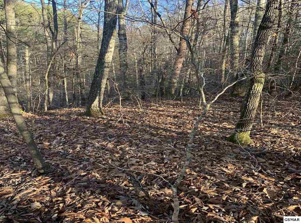 314 Hickey Road Sevierville, TN 37876 - Photo 24 of 36