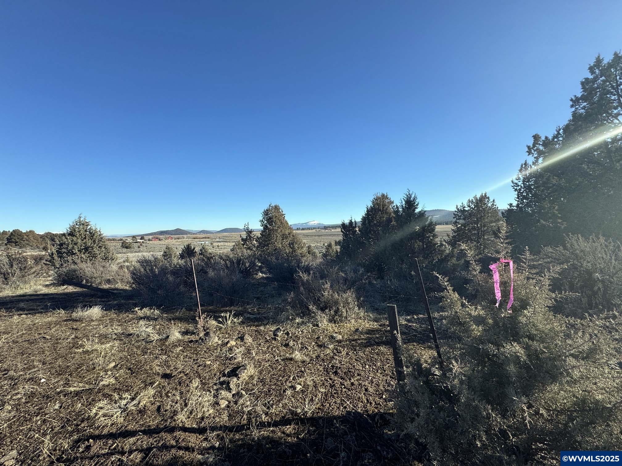 Lot 17 Drews Road Chiloquin, OR 97624 - Photo 5 of 20 Gallery Image 5
