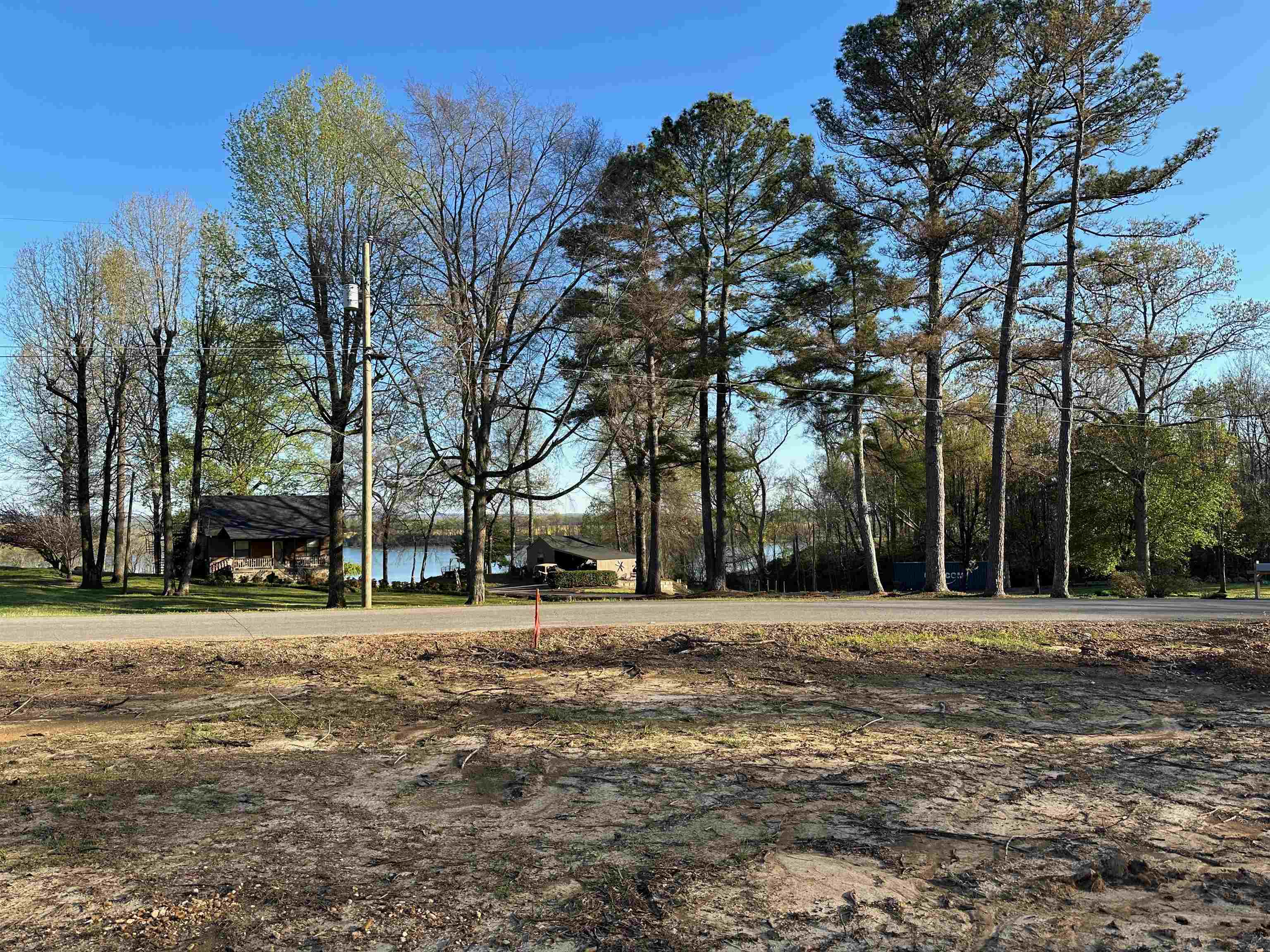 596 Riverside Lane Crump, TN 38327 - Photo 6 of 11 Gallery Image 6