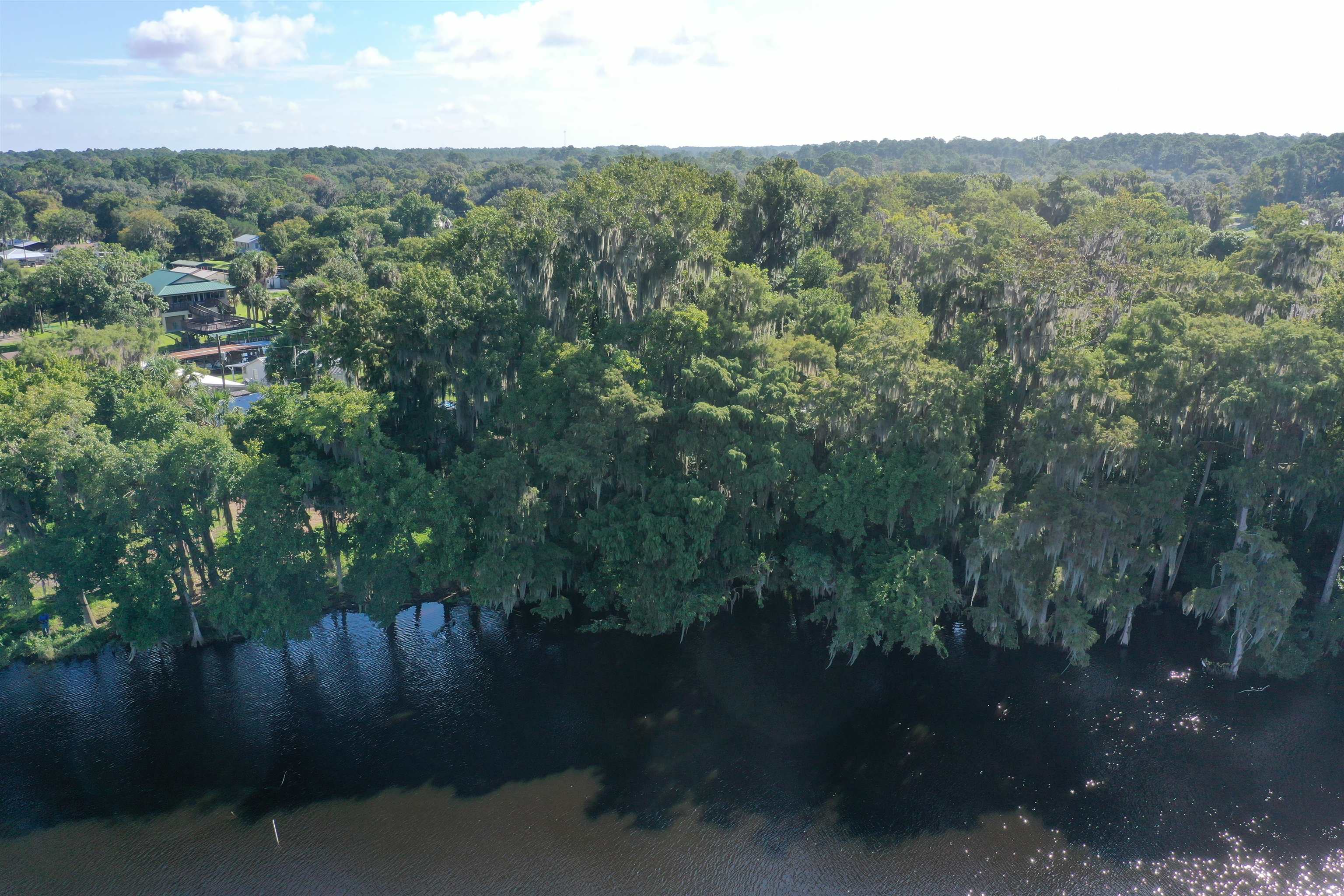 Wooten Rd Crescent Crescent City, FL 32112 - Photo 12 of 25 a view of a forest with a lake