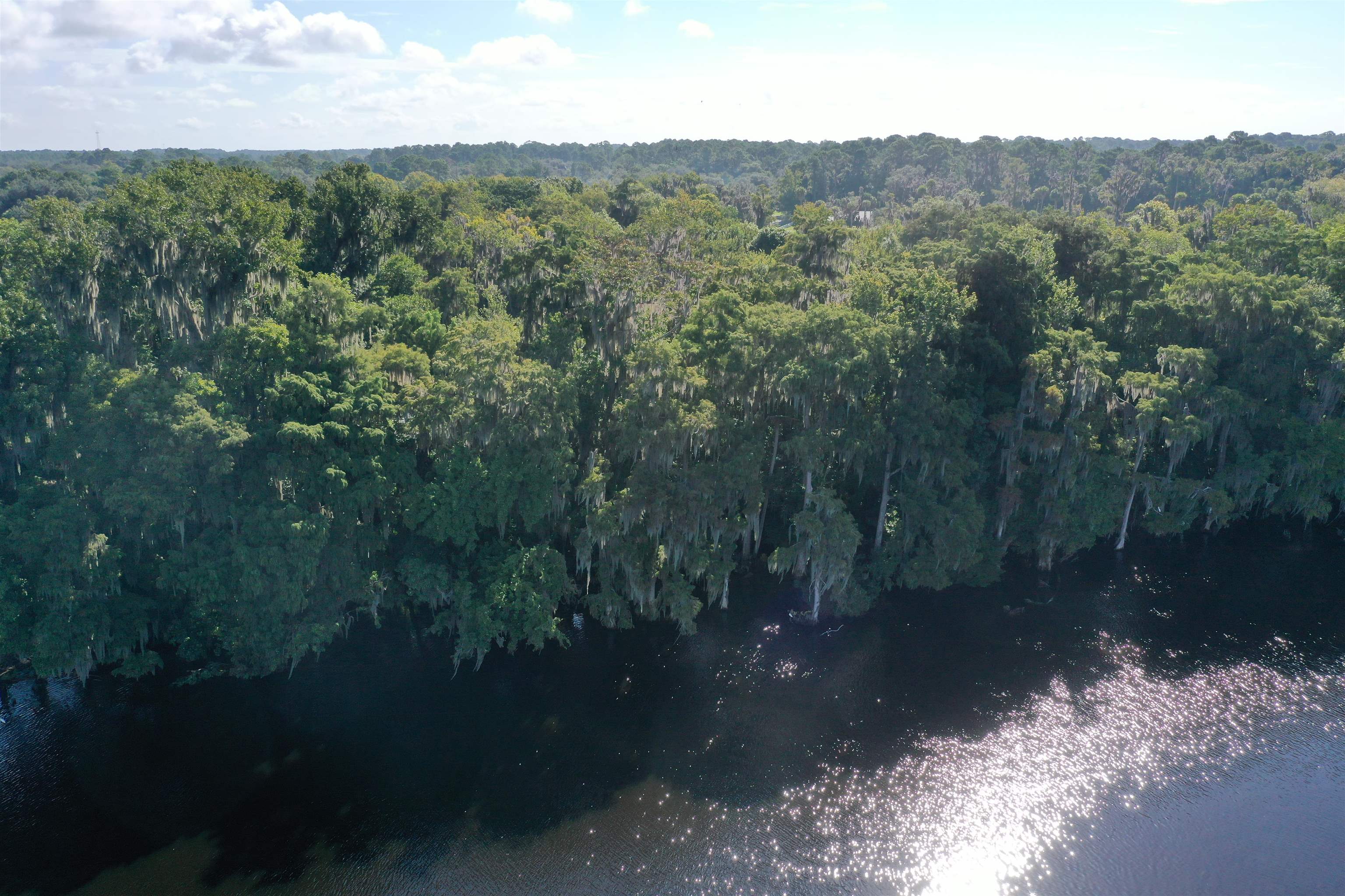 Wooten Rd Crescent Crescent City, FL 32112 - Photo 13 of 25 a view of a big yard